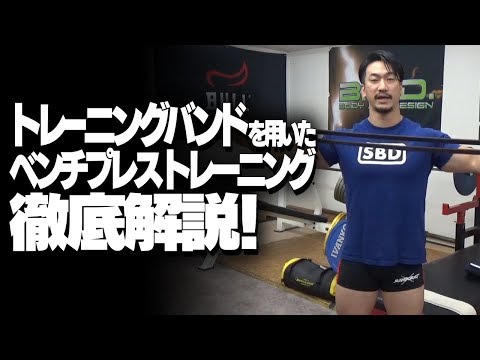 トレーニングバンドを用いたベンチプレストレーニング徹底解説【SBDアスリート】鈴木佑輔