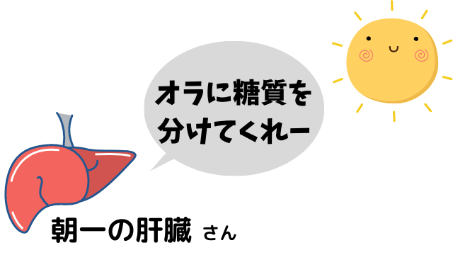 朝一の糖質が枯渇した肝臓