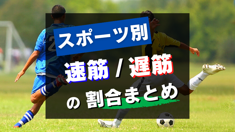 スポーツ別　速筋/遅筋の割合まとめ