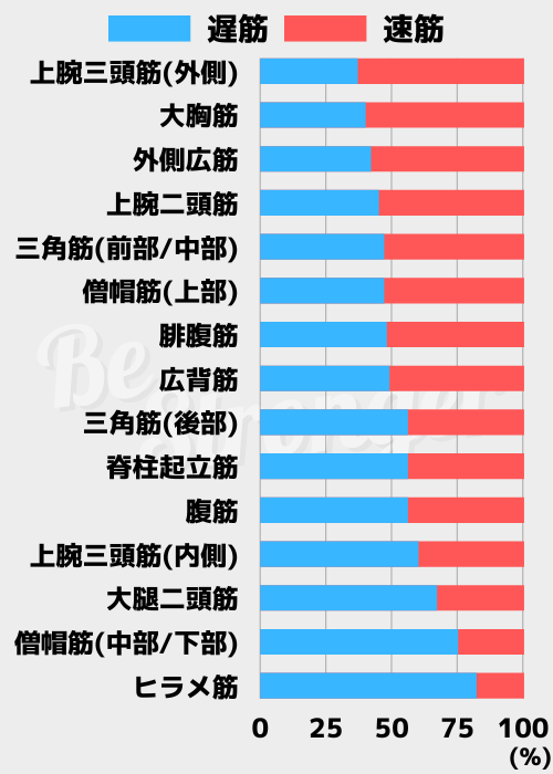速筋/遅筋の割合の筋肉の部位ごとのまとめ