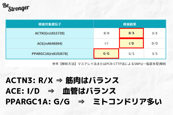 DNA EXERSICEのWebによる結果レポート